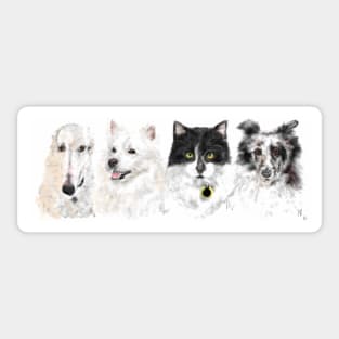 Pooches, Kitties and Other Sweet Faces Sticker